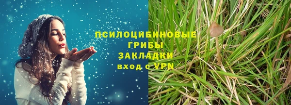 меф Вяземский
