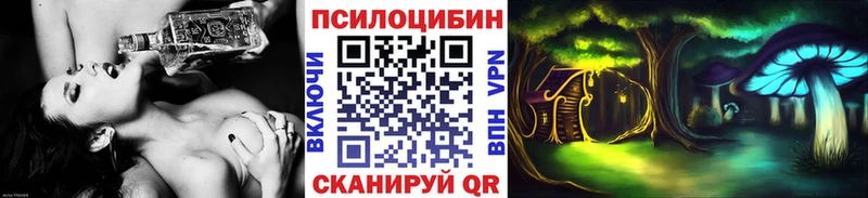 KRAKEN зеркало  закладка  Новочебоксарск  Псилоцибиновые грибы GOLDEN TEACHER 